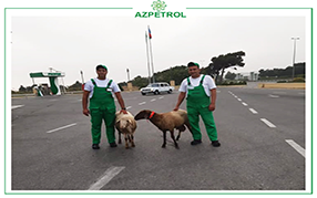 Sacrifice Holiday at “Azpetrol” Company 